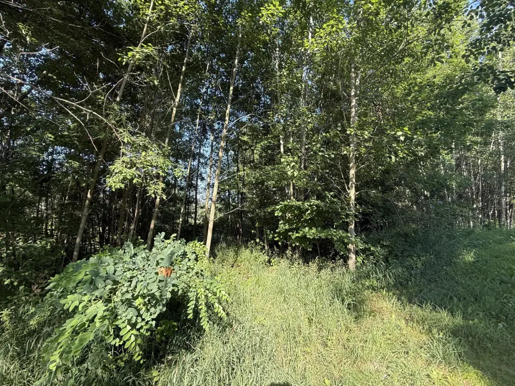 Picture 3