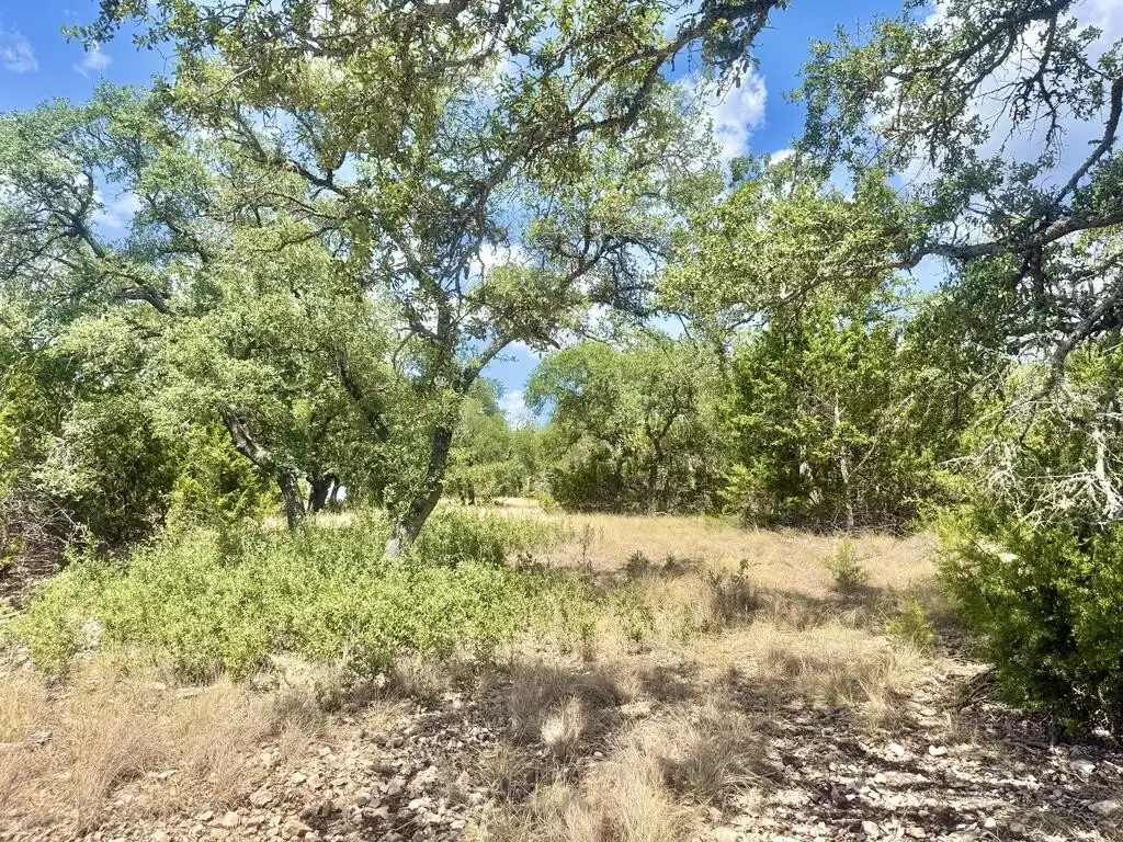 Picture 16