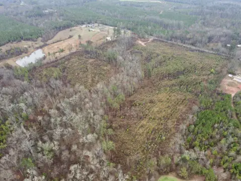 Undeveloped Land in Sweet Water