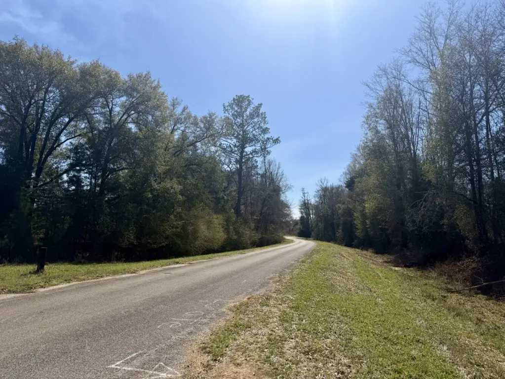Picture 17