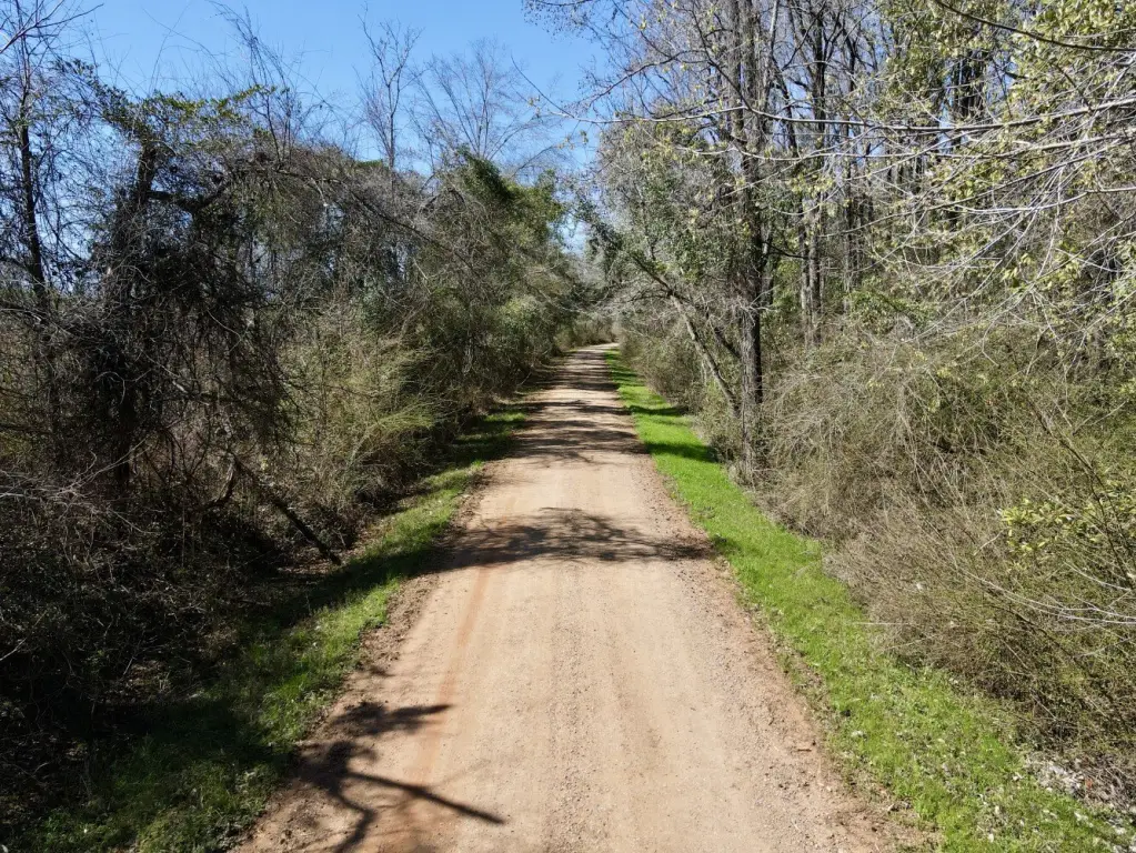 Picture 25