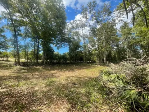 5+ Acre Parcel in Steinhatchee