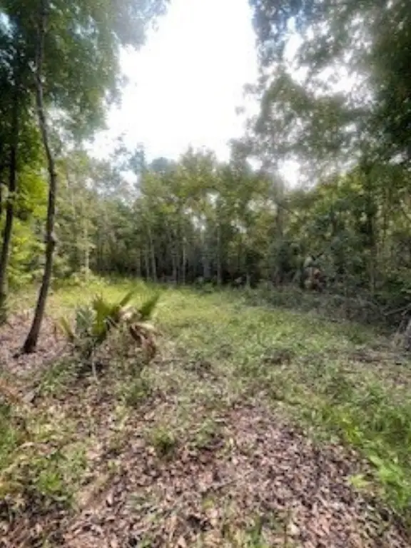 Picture 4