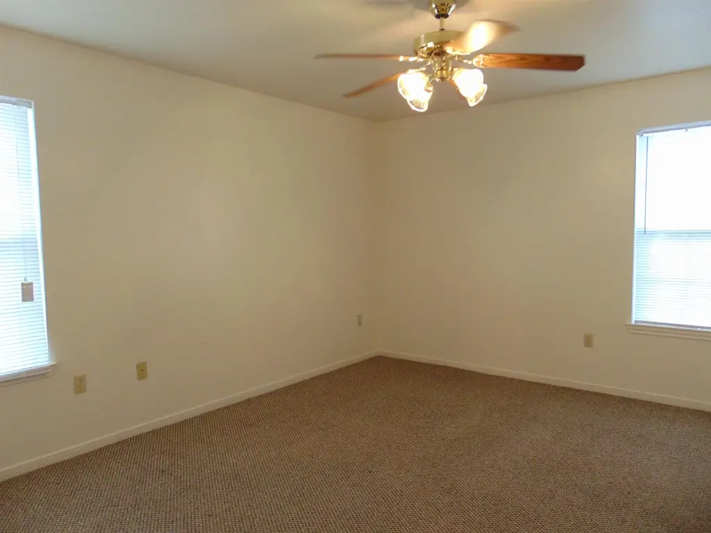 Picture 4