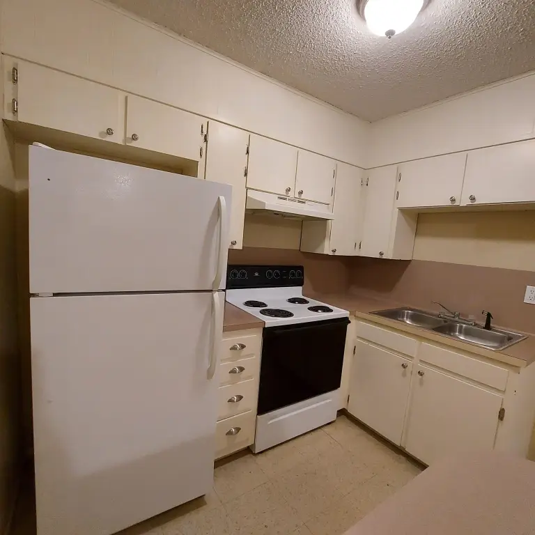 Picture 6