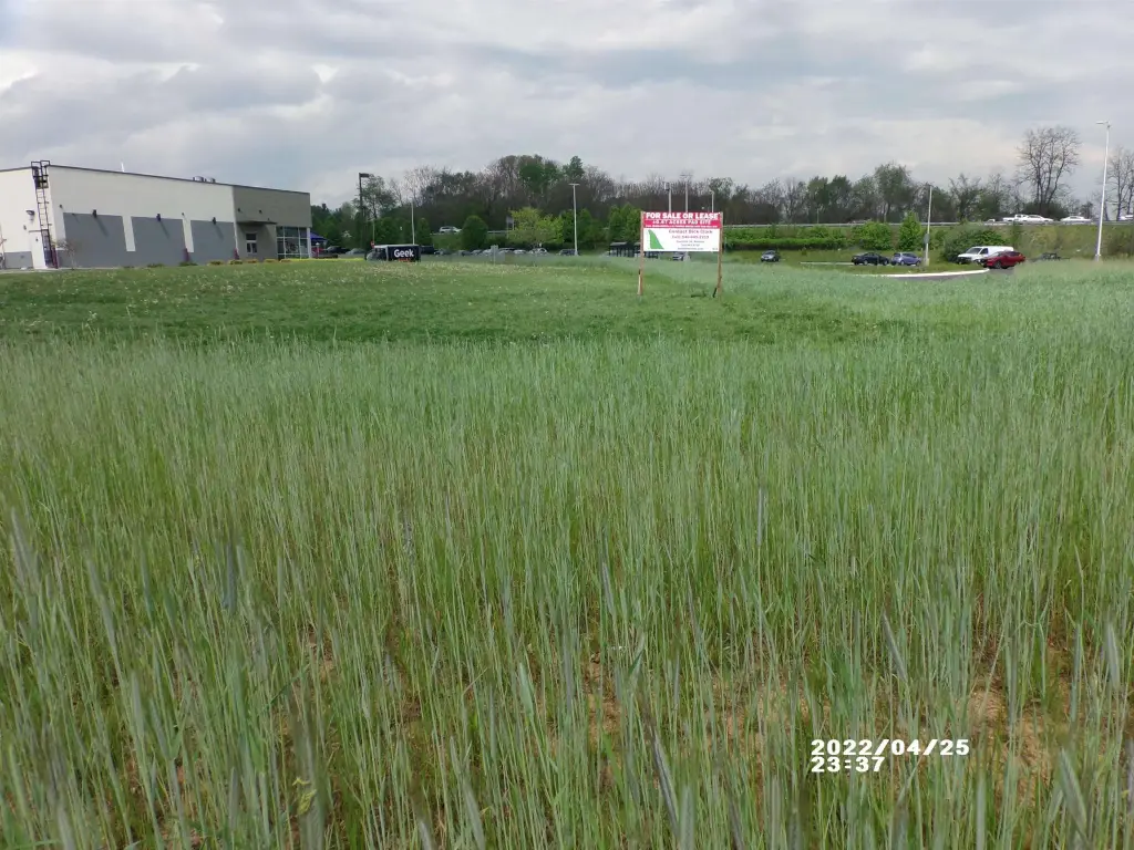 Picture 4