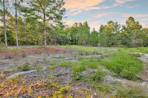 Residential Land in Cameron, NC