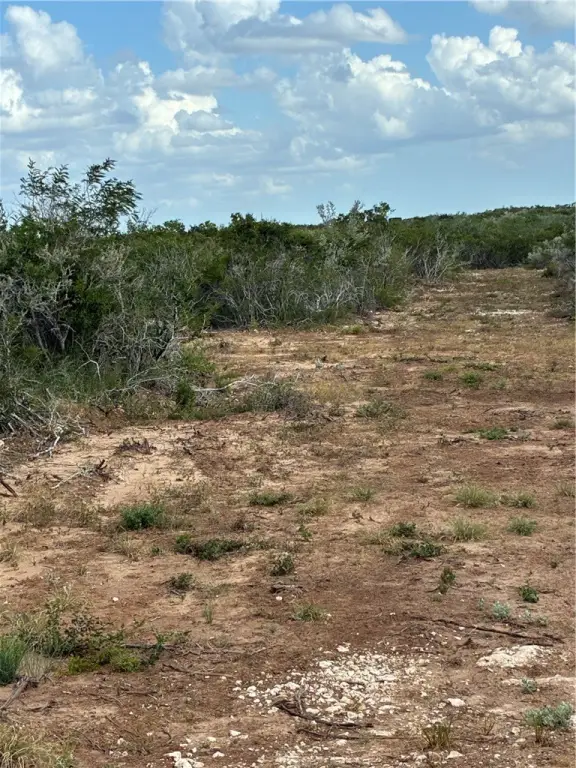 Picture 8
