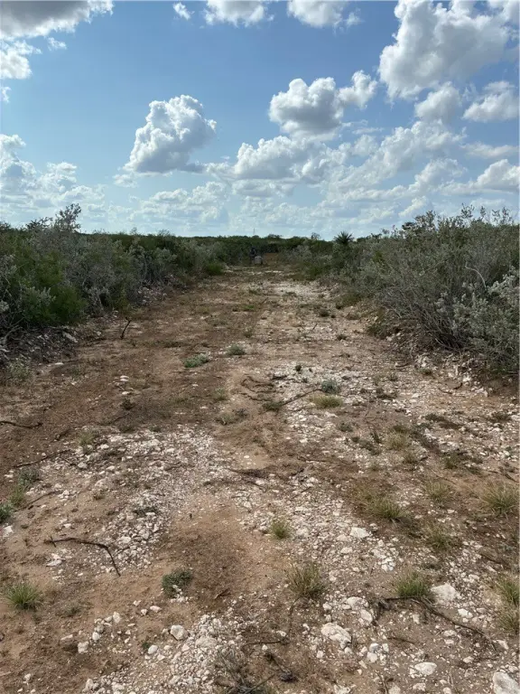 Picture 7