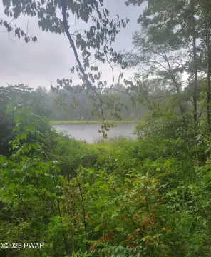 60 Acres of Natural Land