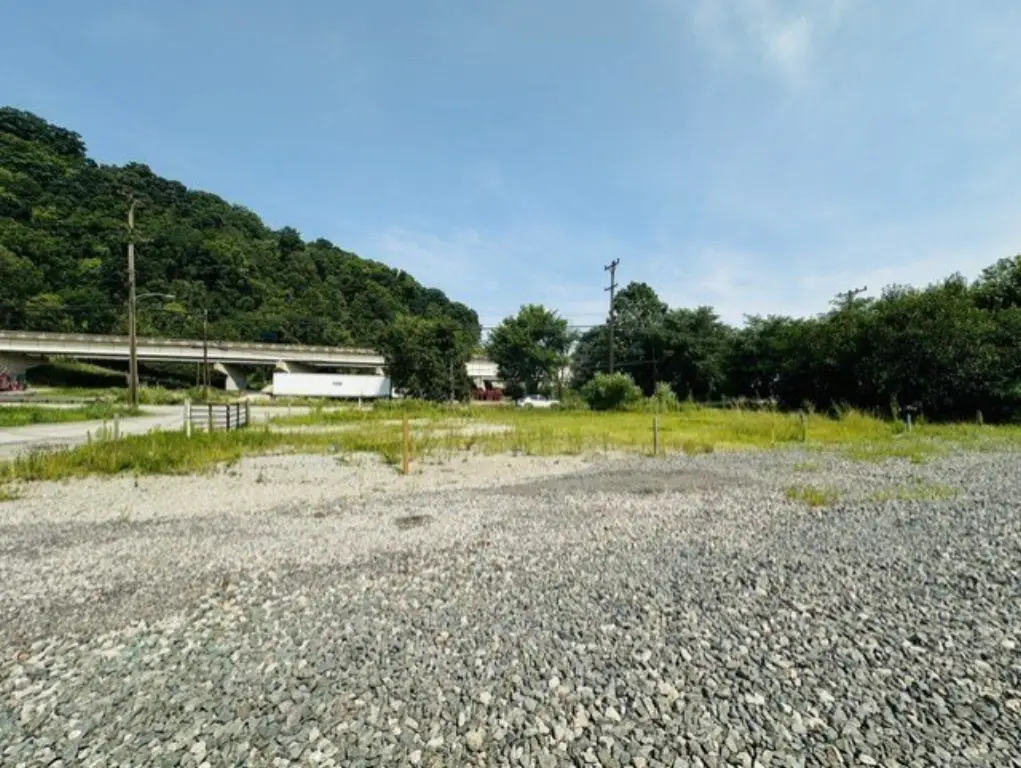 Picture 11