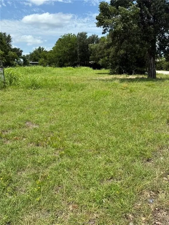 Picture 4