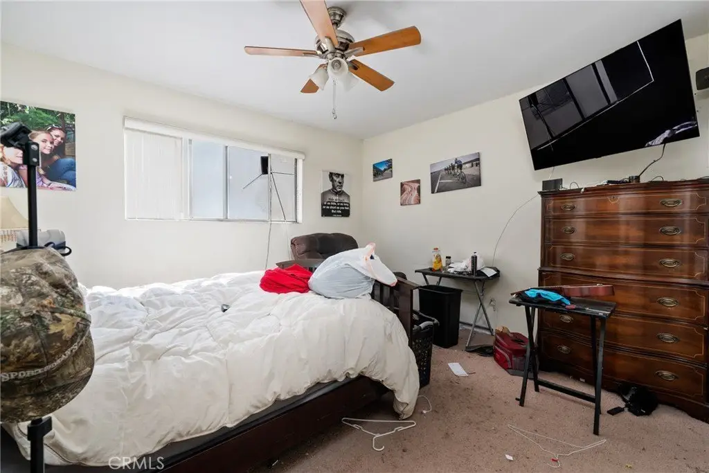 Picture 23