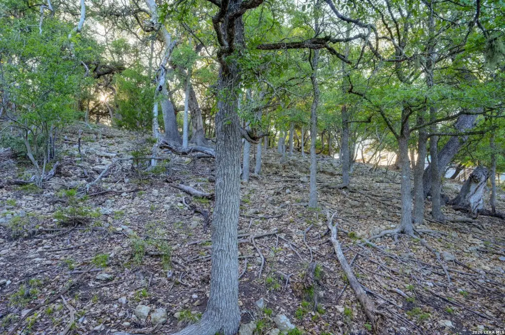 Picture 45