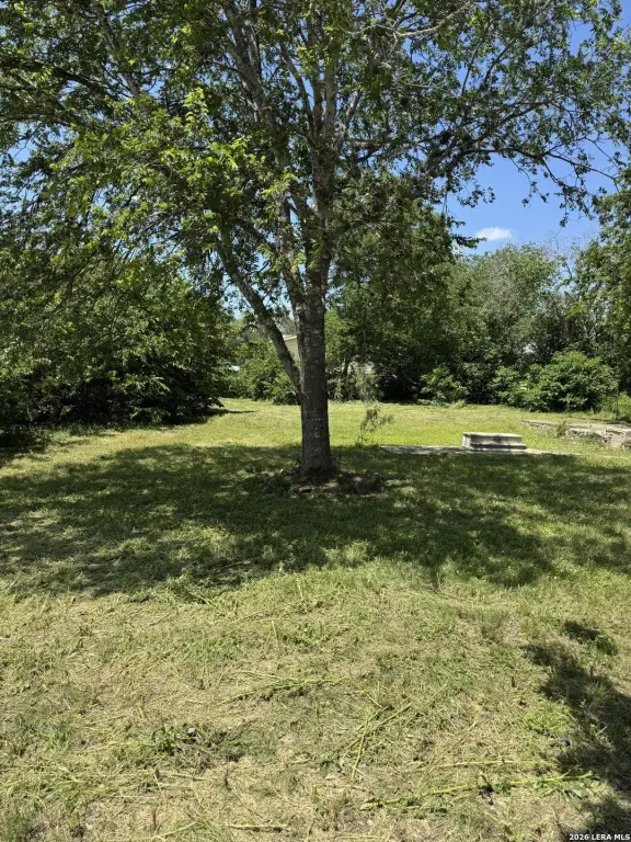 Picture 5