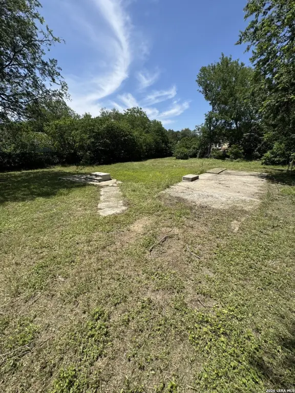 Picture 4