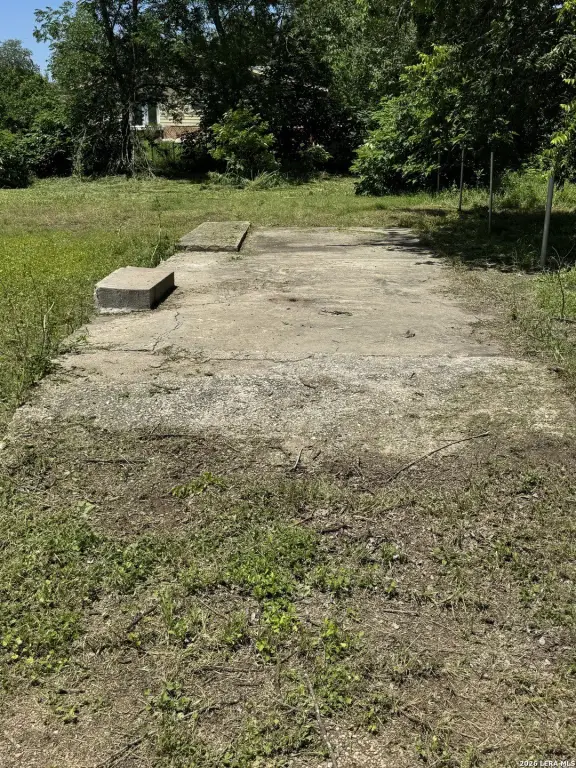 Picture 3