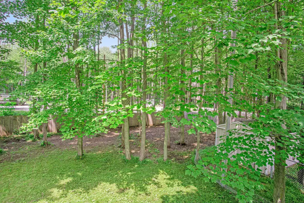 Picture 28