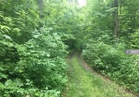 20 Acre Residential Land Parcel