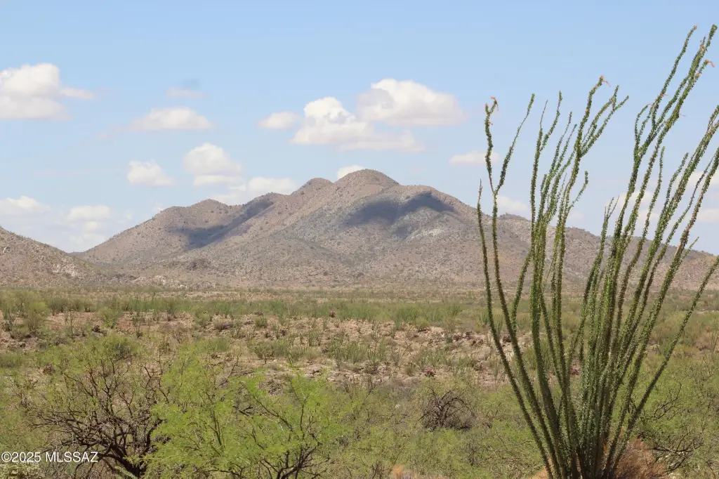 Picture 11