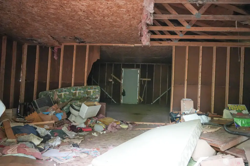 Picture 25