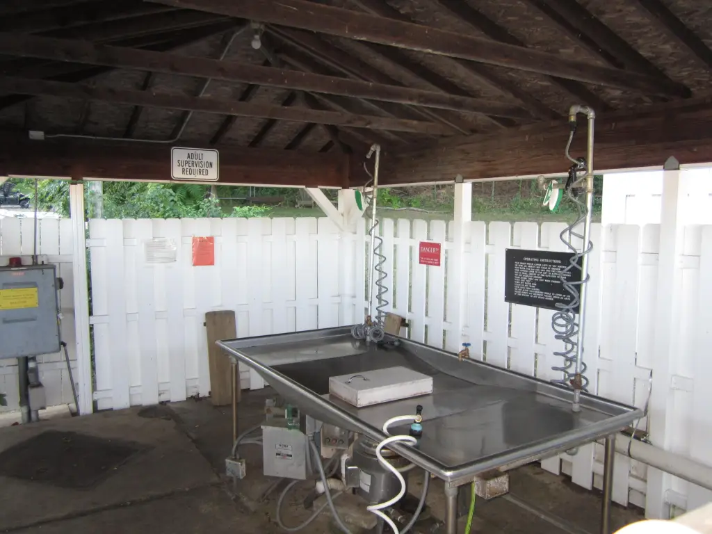 Picture 11