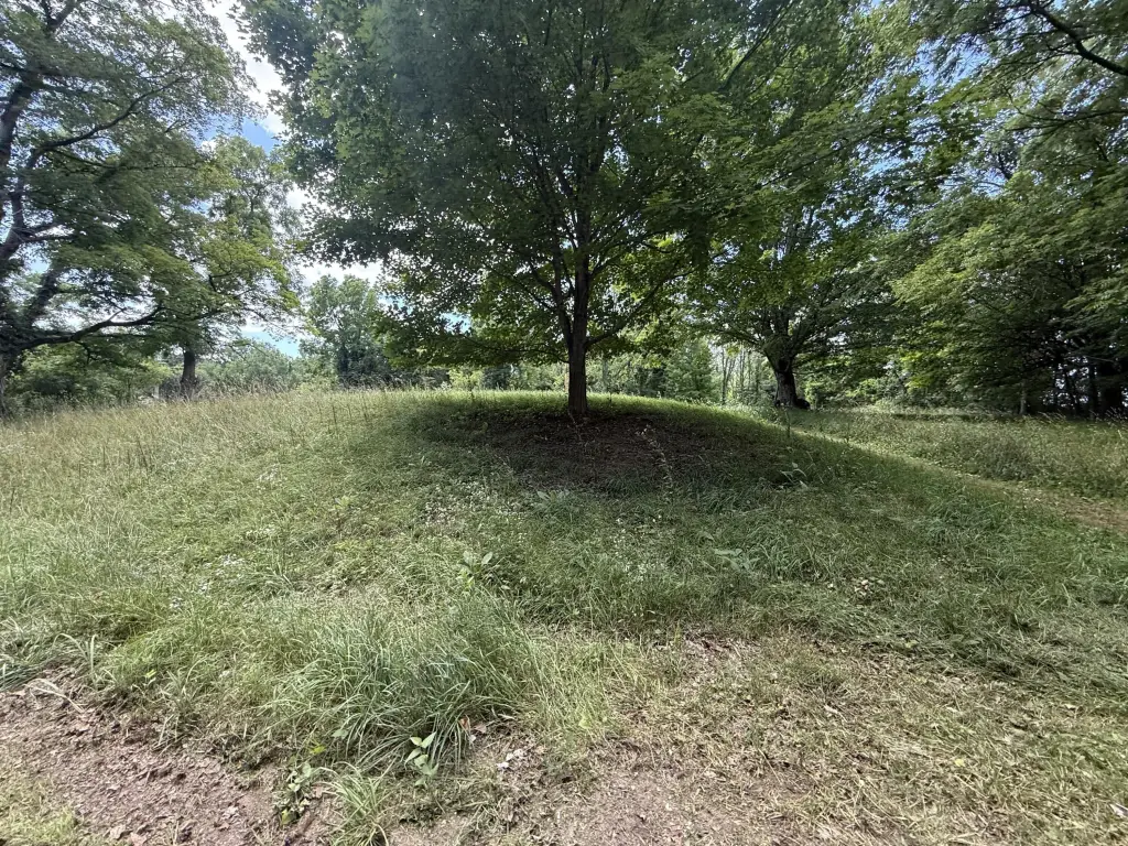 Picture 15