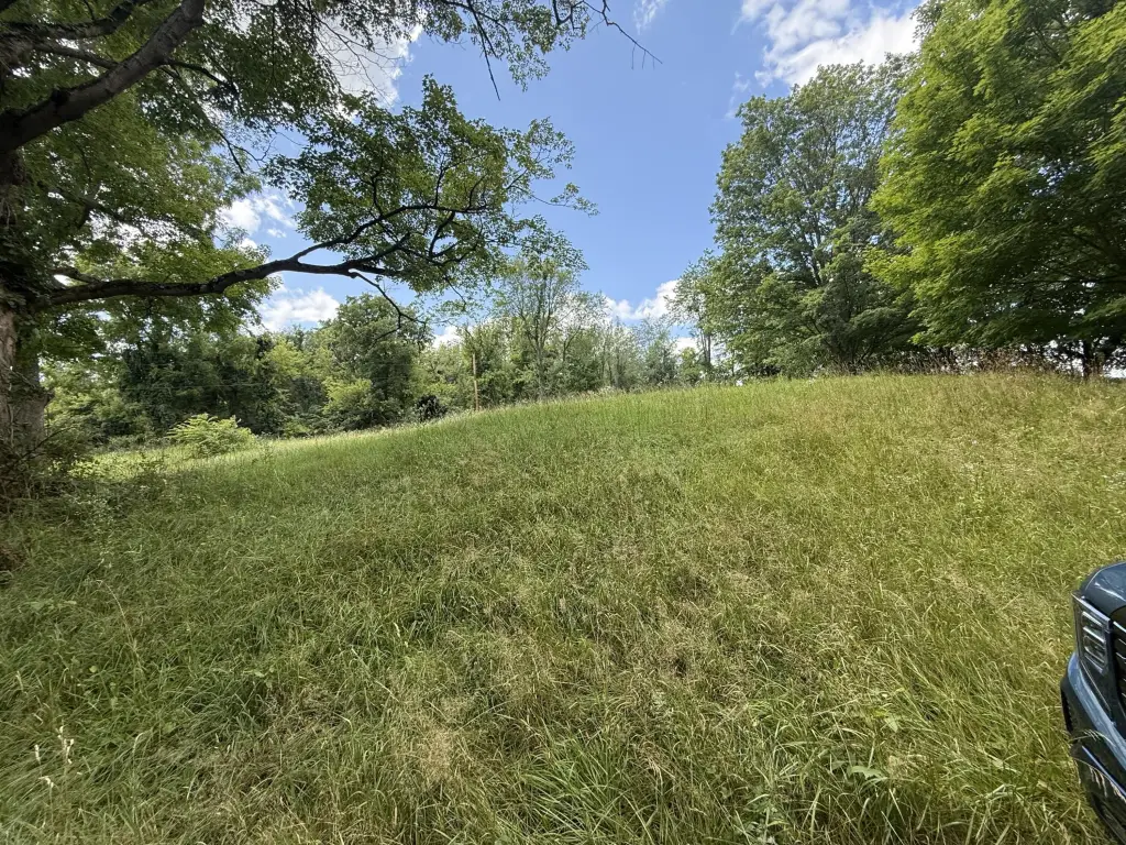 Picture 16