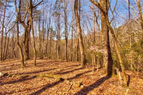 Unrestricted Acreage in Dahlonega