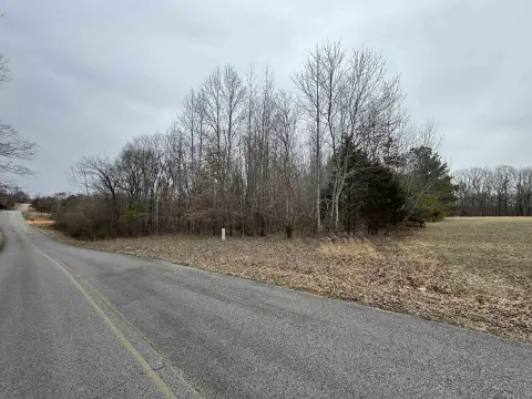 Rogersville Land with Development Potential
