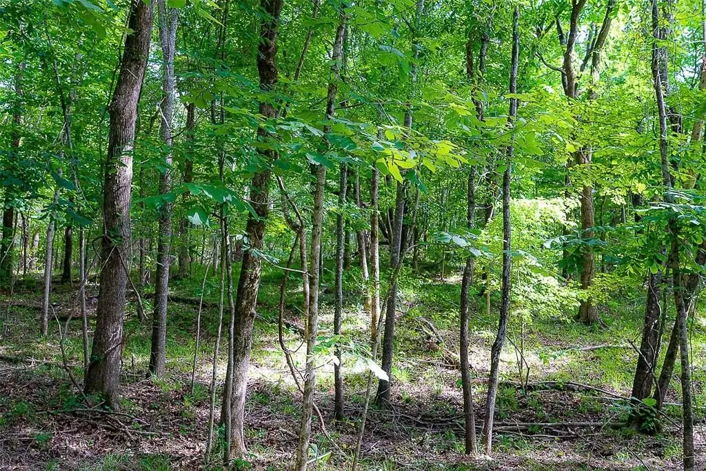 Picture 18