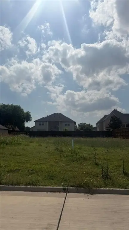 Picture 5