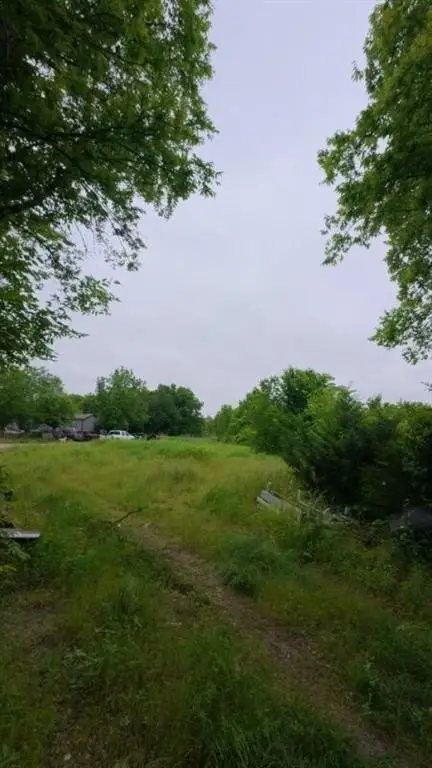 Picture 3