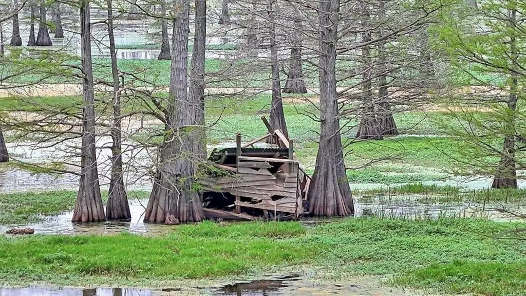 Picture 30