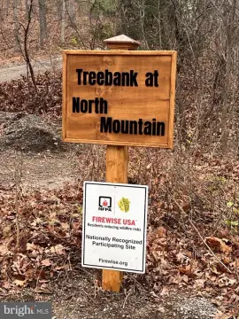 3-Acre Wooded Lot in Star Tannery