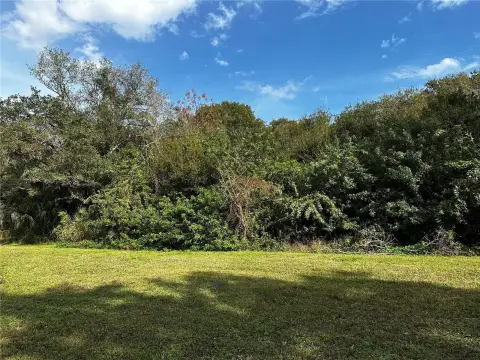 Safety Harbor Land Opportunity