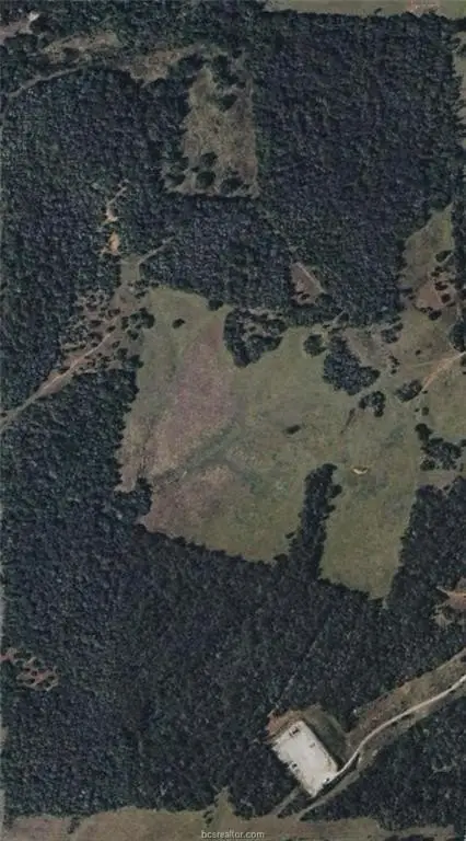 Picture 23