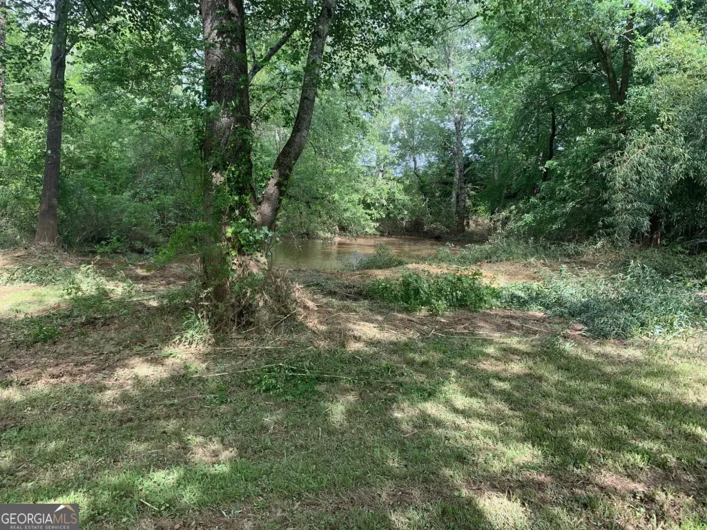 Picture 21