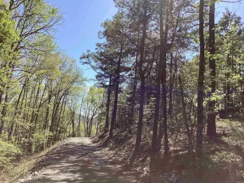 Mena, Arkansas Acreage