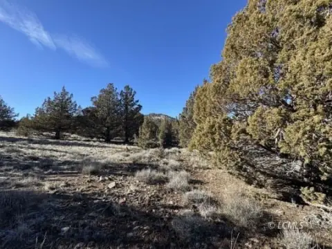 Lakeview Vacant Land with Views