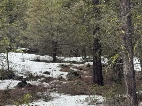 Bonanza, OR Vacant Land
