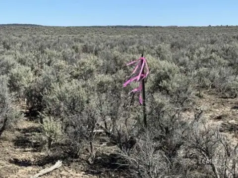 Christmas Valley Vacant Land Parcel