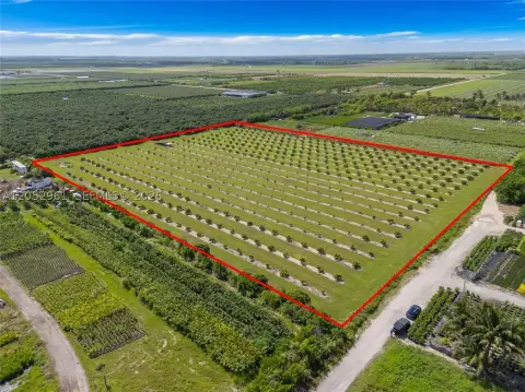 Producing Longan Grove Farmland