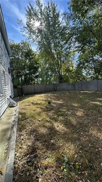 Picture 5