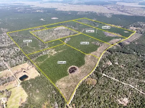 40 Acres Wooded Tract Spurger