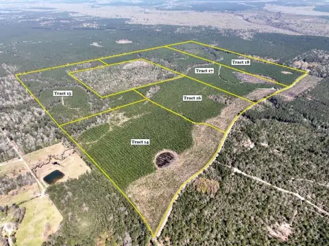 Spurger, TX Wooded Tract