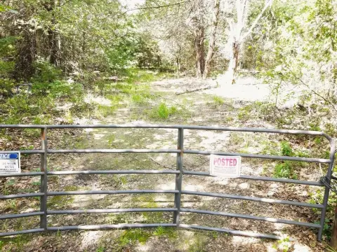 Spacious Land in Terrell, Texas