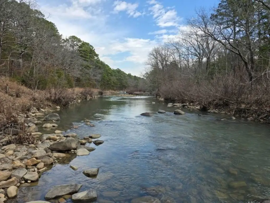 Picture 14