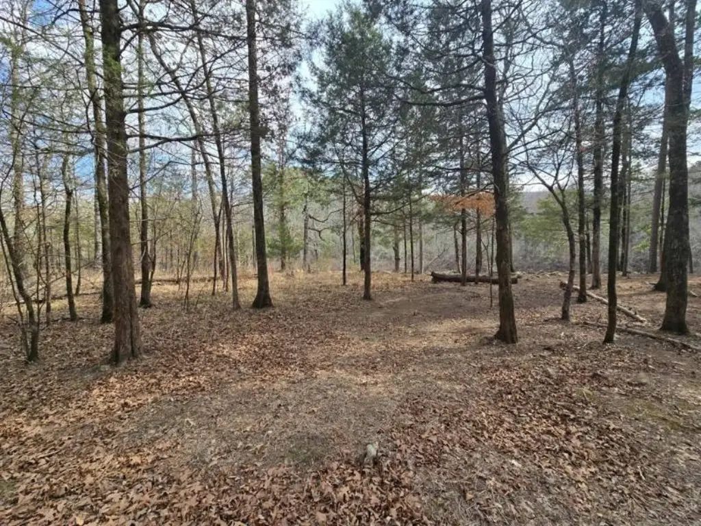 Picture 19