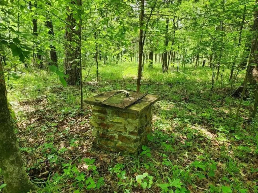Picture 7